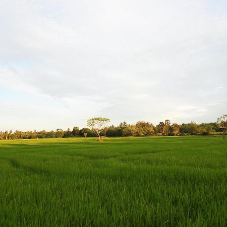Green Sapphire Holiday Resort Wilpaththu Wilpattu Eksteriør bilde
