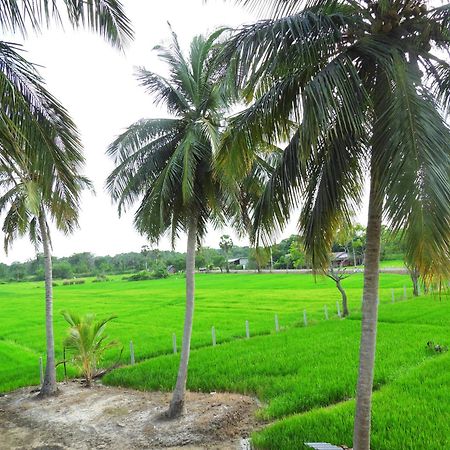 Green Sapphire Holiday Resort Wilpaththu Wilpattu Eksteriør bilde