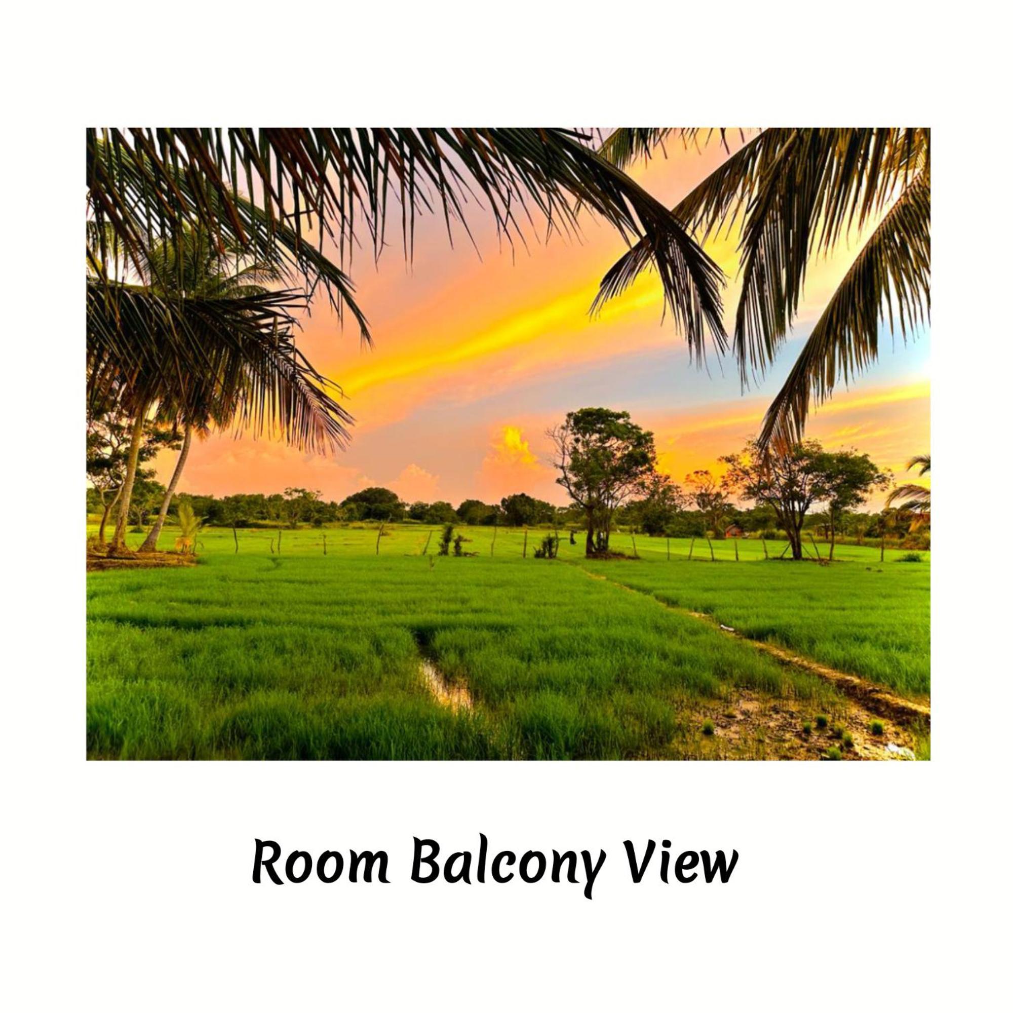 Green Sapphire Holiday Resort Wilpaththu Wilpattu Eksteriør bilde