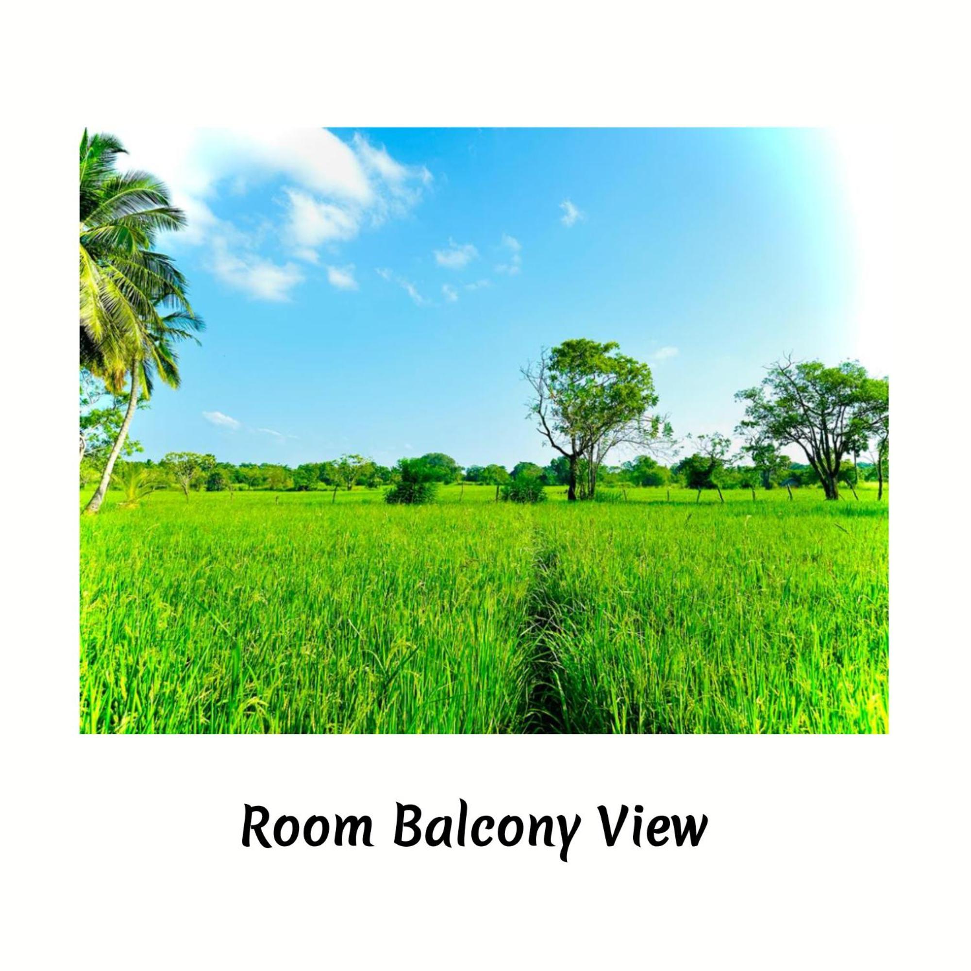 Green Sapphire Holiday Resort Wilpaththu Wilpattu Eksteriør bilde