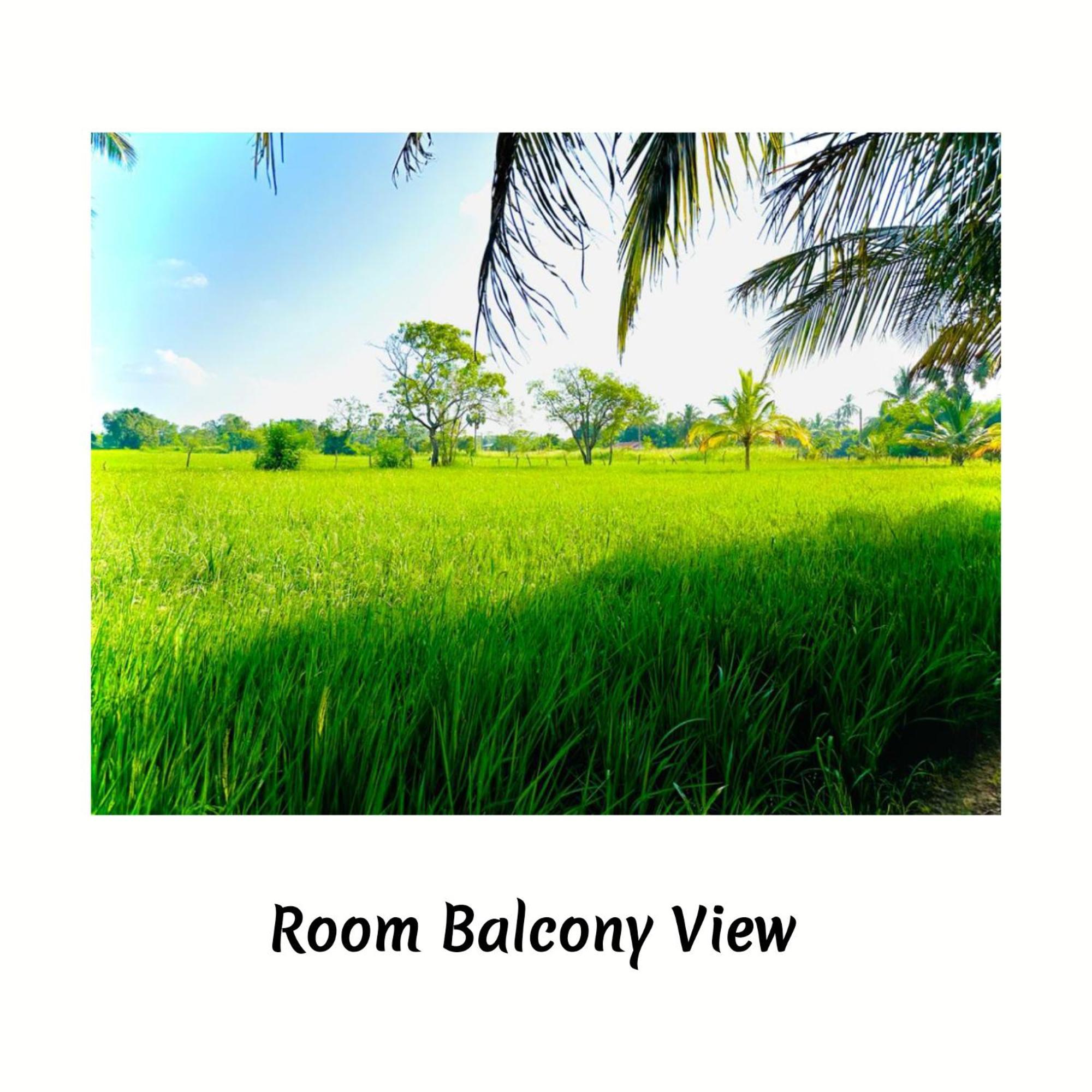 Green Sapphire Holiday Resort Wilpaththu Wilpattu Eksteriør bilde