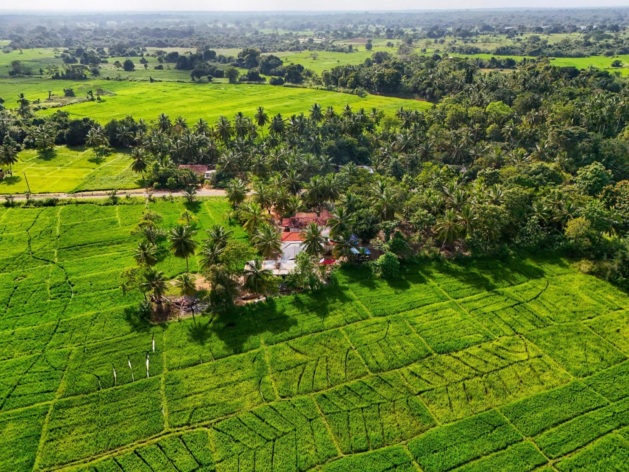 Green Sapphire Holiday Resort Wilpaththu Wilpattu Eksteriør bilde