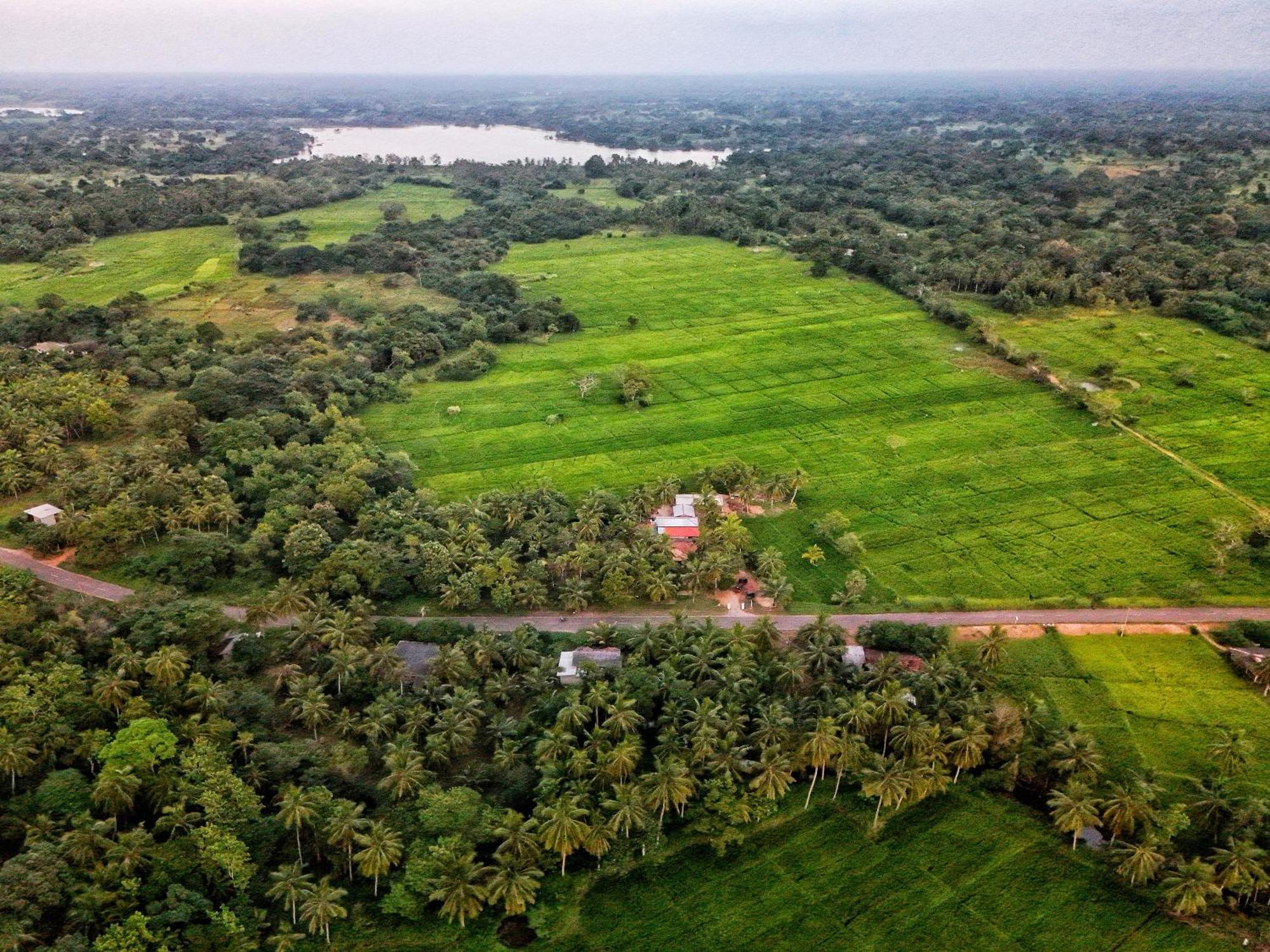 Green Sapphire Holiday Resort Wilpaththu Wilpattu Eksteriør bilde